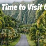 Best Time to Visit Oahu: A Practical Guide for Weather, Crowds, Surf Season, and Better Value