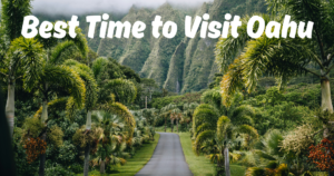 Read more about the article Best Time to Visit Oahu: A Practical Guide for Weather, Crowds, Surf Season, and Better Value